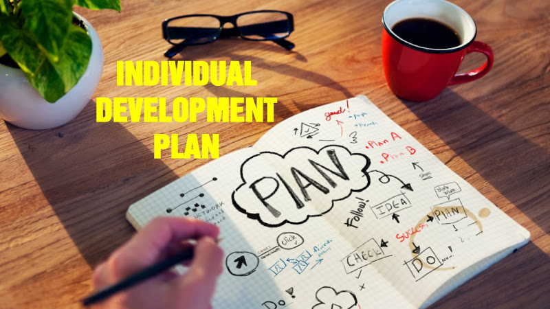 Individual development plan
